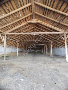 Животноводческая ферма (действующая)