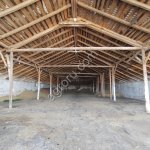 Животноводческая ферма (действующая)