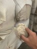 Косметически хлопок
