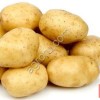 Семенной картофель