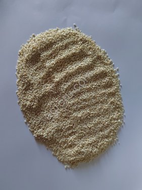 Кунжут