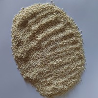 Кунжут