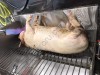 Модульный пункт убоя свиней на 16 туш