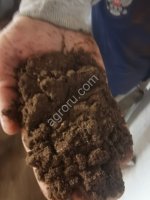 Шрот рапсовый