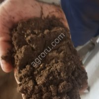 Шрот рапсовый