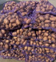 Картофель сорт Ривьера от фермера