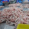 Курное мясо оптовые импорт в любую страну.