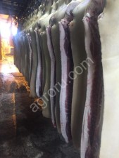 свинина полутуши 2,3 кат, ручная опалка