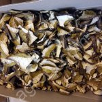 Грибы белые боровые сушеные 3-й сорт.