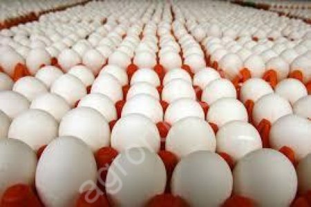 Андрей Якимович