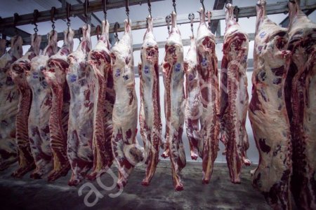 Говядина полутуши 1 категория охлаждёнка (корова)