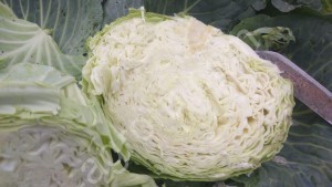 Капуста