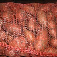 Картофель 1, 5 полторашка