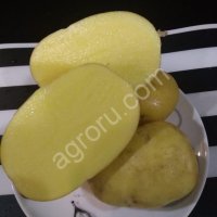 Картофель оптом