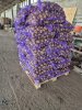 Ранний картофель