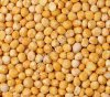 Горох продовольственный оптом из России / Food-Grade Peas from Russia | Export