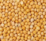 Горох продовольственный оптом из России / Food-Grade Peas from Russia | Export