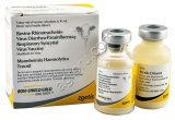 Бови-шилд Голд Ван Шот 10 ml