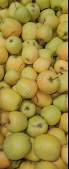 Яблоко Голден в контейнерах