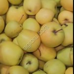 Яблоко Голден в контейнерах