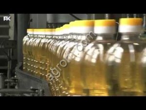 Подсолнечное масло оптом на экспорт