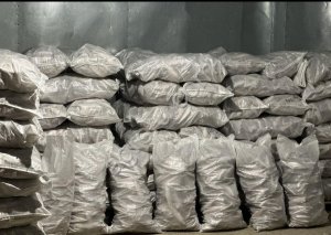 Пелядь (сырок) свежемороженая