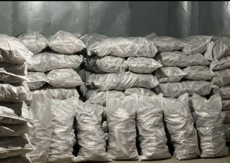 Пелядь (сырок) свежемороженая