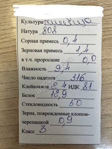 Пшеница мягкая