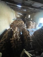 Туркестанский мыльный корень качество #1