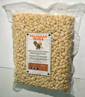 Кедровый орех 2025 год