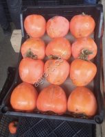 Хурма оптом