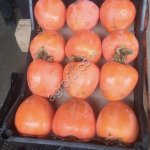 Хурма оптом