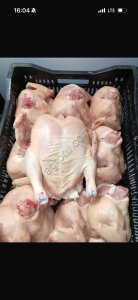 Тушки цыплёнка бройлера от 300 штук