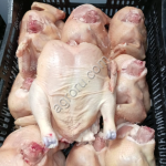 Тушки цыплёнка бройлера от 300 штук
