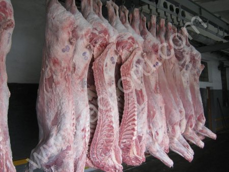 Говядина оптом