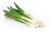 Лук зеленый
