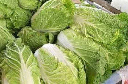 капусту пекинскую опт