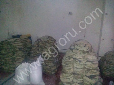 Говяжья книжка Beef omasum