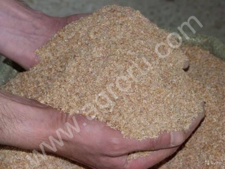 Соя,кукуруза,отруби,жмых,щрот и сахар