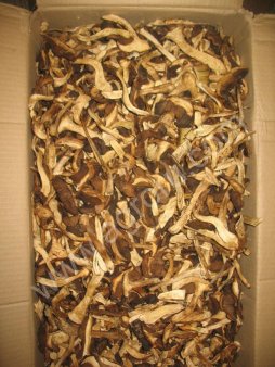 Подосиновик сушеный высшего качства