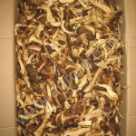 Подосиновик сушеный высшего качства