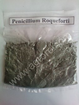 Плесень для сыра типа Рокфор .