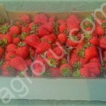 Картонная коробка для овощей и фруктов