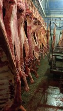 Мясо говядины оптом. полутуши, четвертины.