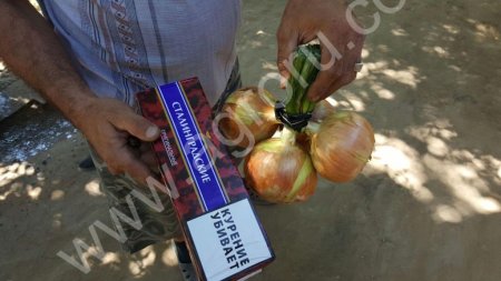 Лук от производителя