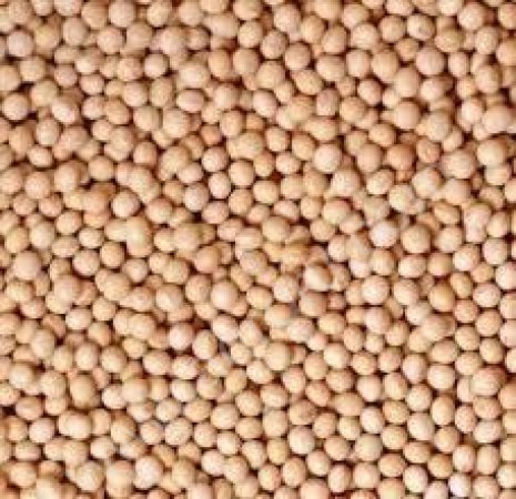 горох продовольственный ГОСТ.