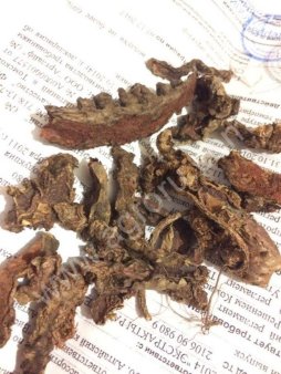 Радиола розовая Rhodíola rósea