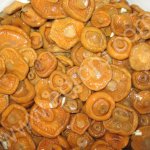 Рыжики соленые