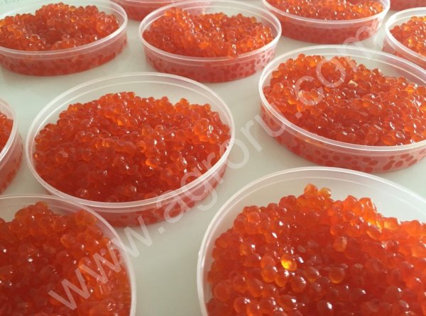 КРАСНАЯ ИКРА ПРЕМИУМ КАЧЕСТВА