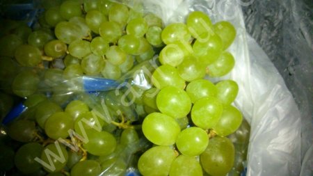 Виноград